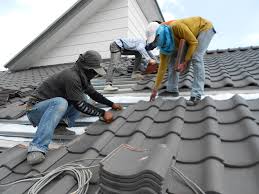 Best Roof Maintenance and Cleaning  in Egypt Lake Leto, FL